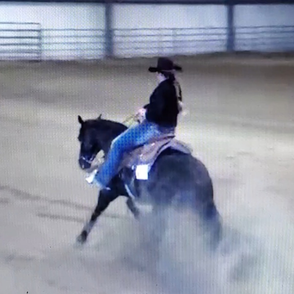 Meet your Posher, Ashley